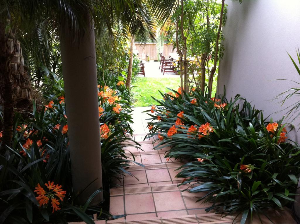 אוקלנד Palm Garden Apartment מראה חיצוני תמונה